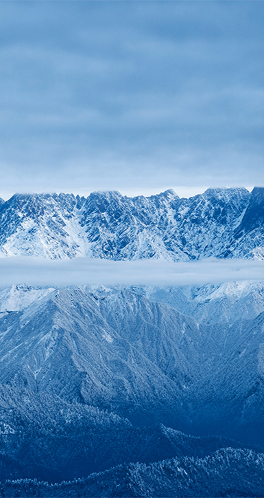 ����918������