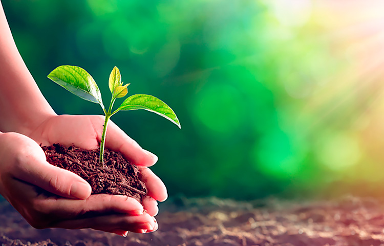 918������(�й���)����