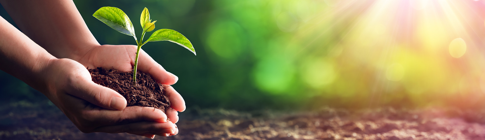 918������(�й���)����